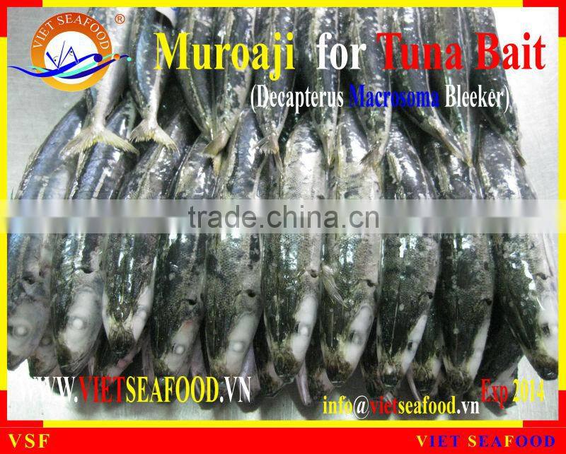 MUROAJI FOR TUNA BAIT