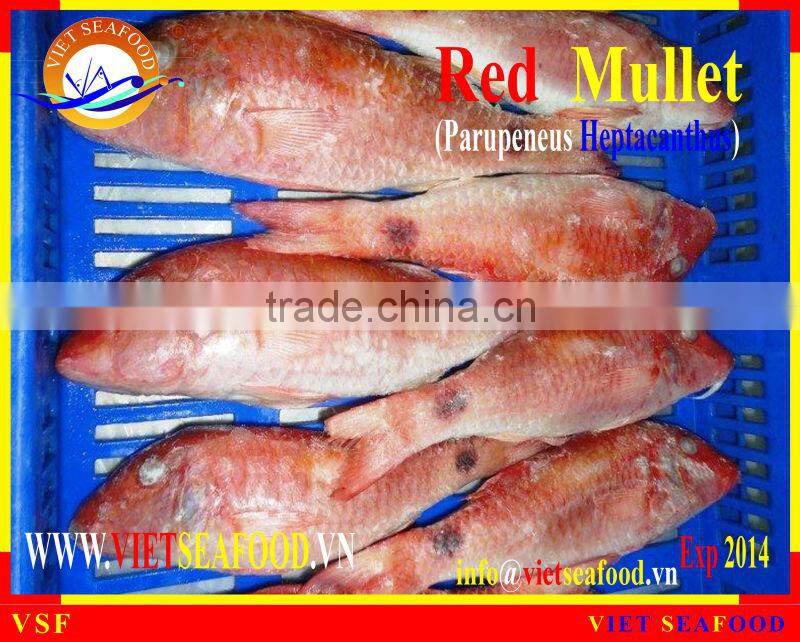 FROZEN WHOLE ROUND RED MULLET