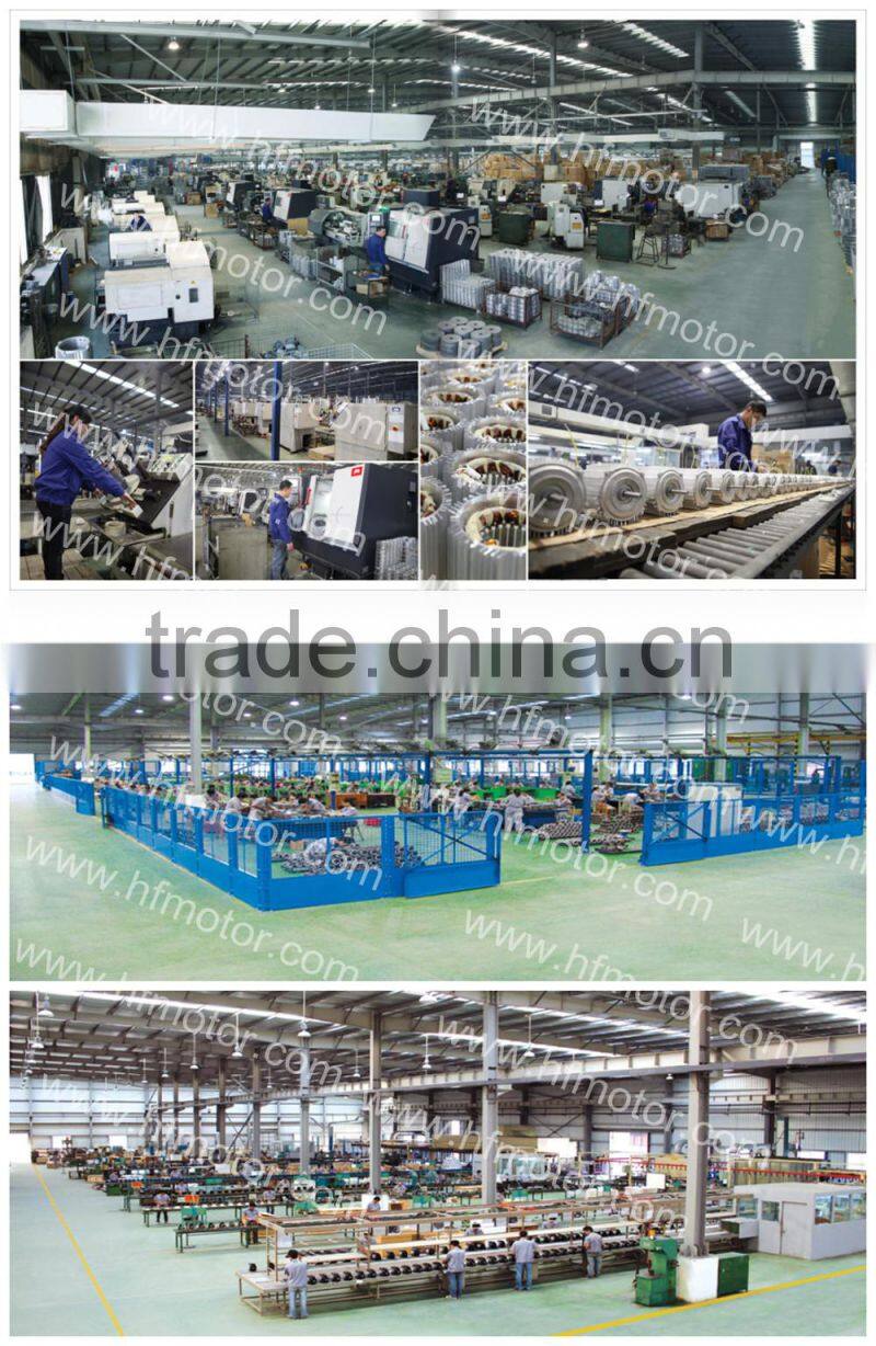 TENV Stainless Steel Housing Three Phase Motors IP67