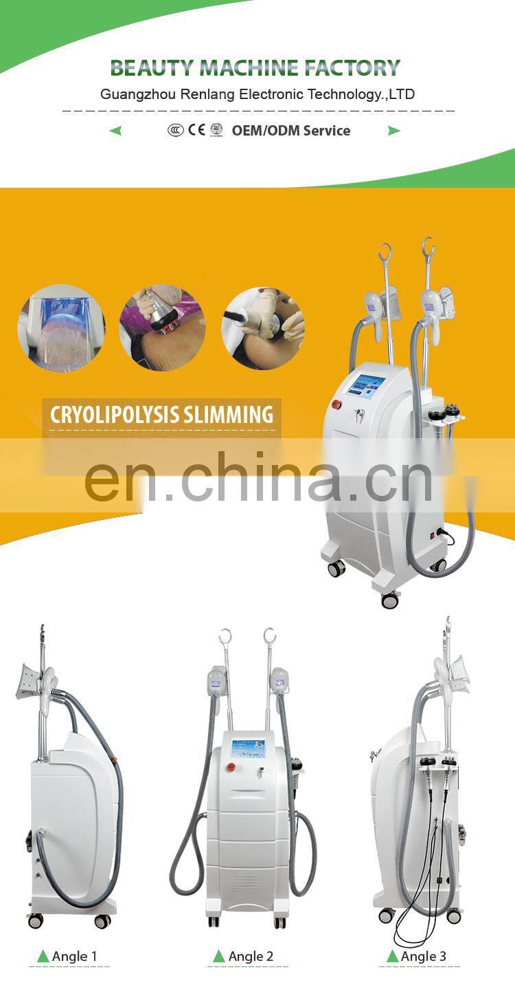Popular Fat freezing /cryolipolysis slimming machine/criolipolisys machine