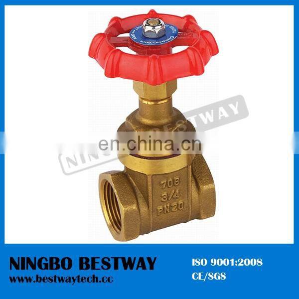 BWVA 100% payment protection new arrival brass air vent valve