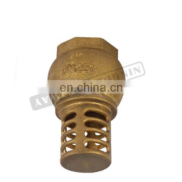 New Design Brass Foot Valve for Water Pump