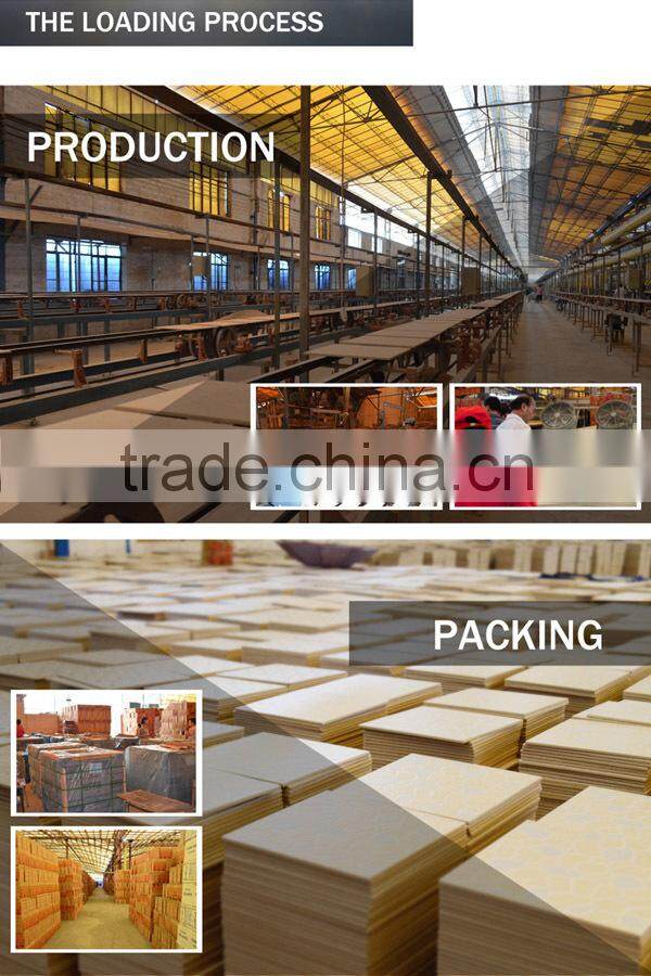 Outdoor /exterior 300x300mm floor tiles