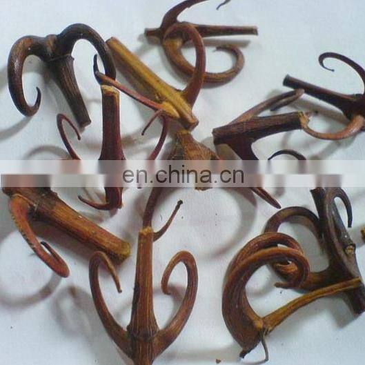 sciyu acacia catechu extract powder 5:1,10:1,20:1 uncaria gambier