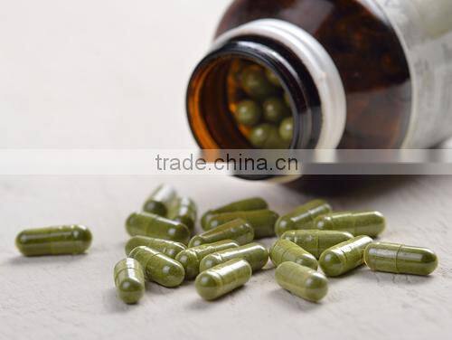 Best Selling Raw Material Moringa Powder