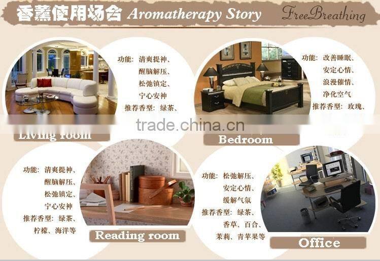 100ml ceramic aroma diffuser/aroma reed diffuser /home fragrance diffuser