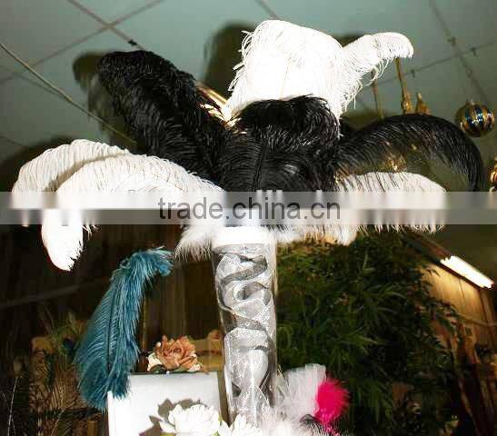 Red ostrich feathers for Wedding decoration