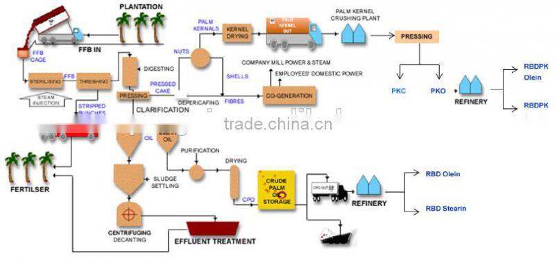 Hot selling palm oil production machine with ISO,BV,CE, palm oil plant machinery factory found in 1982