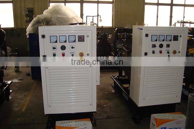 Weifang 495D 20kw 25kva 27Hp ricardo slient diesel generator price
