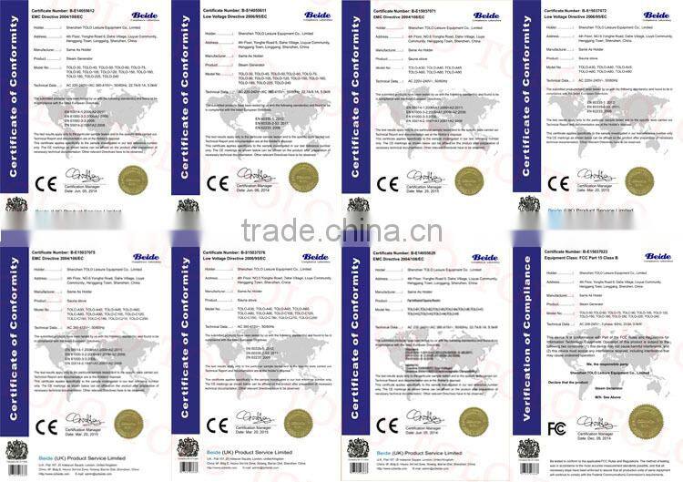 Single phase small bath room domestic steam generator