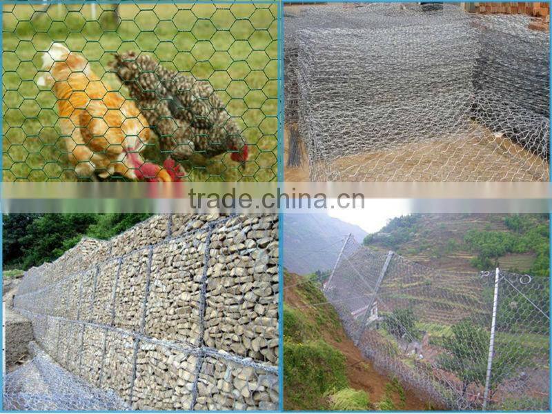 chicken coop hexagonal wire nettings fencing