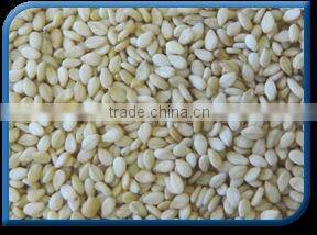 Natural Roasted Sesame Seed Sortex Clean