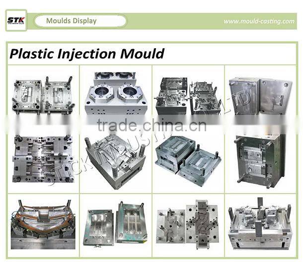 Plastic Mould Injection Molding Case