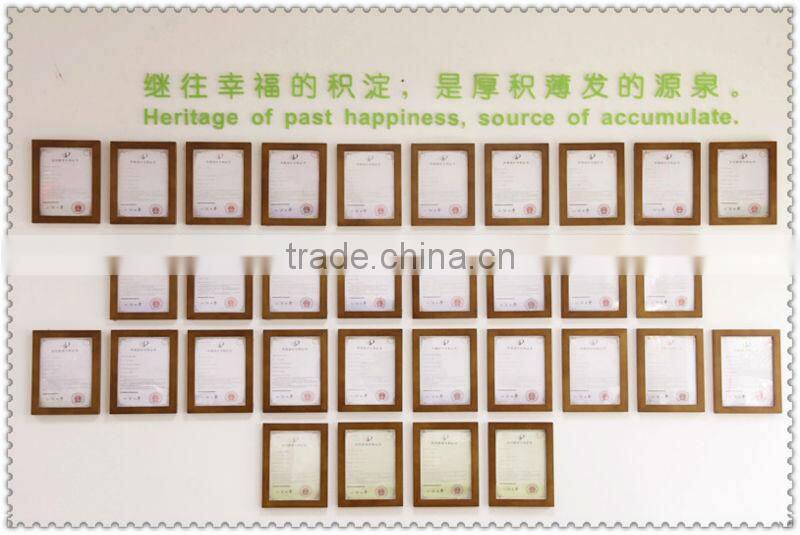 LJW-047 2013 electronic hand warmer