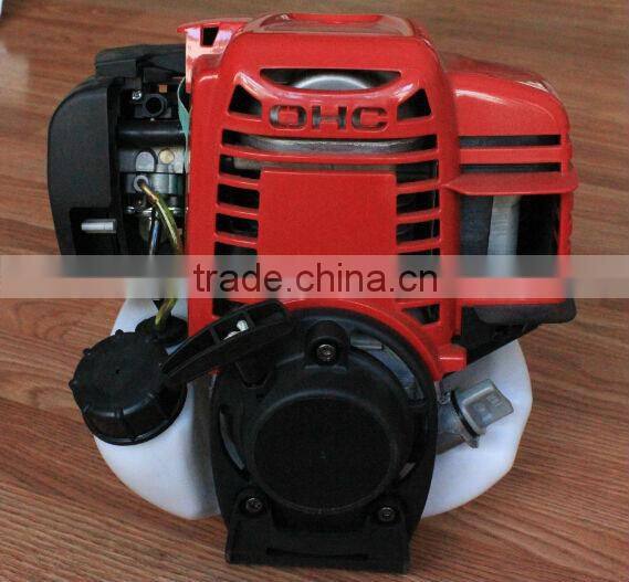 Knapsack Gaoline Power Sprayer 2/4-Stroke P768