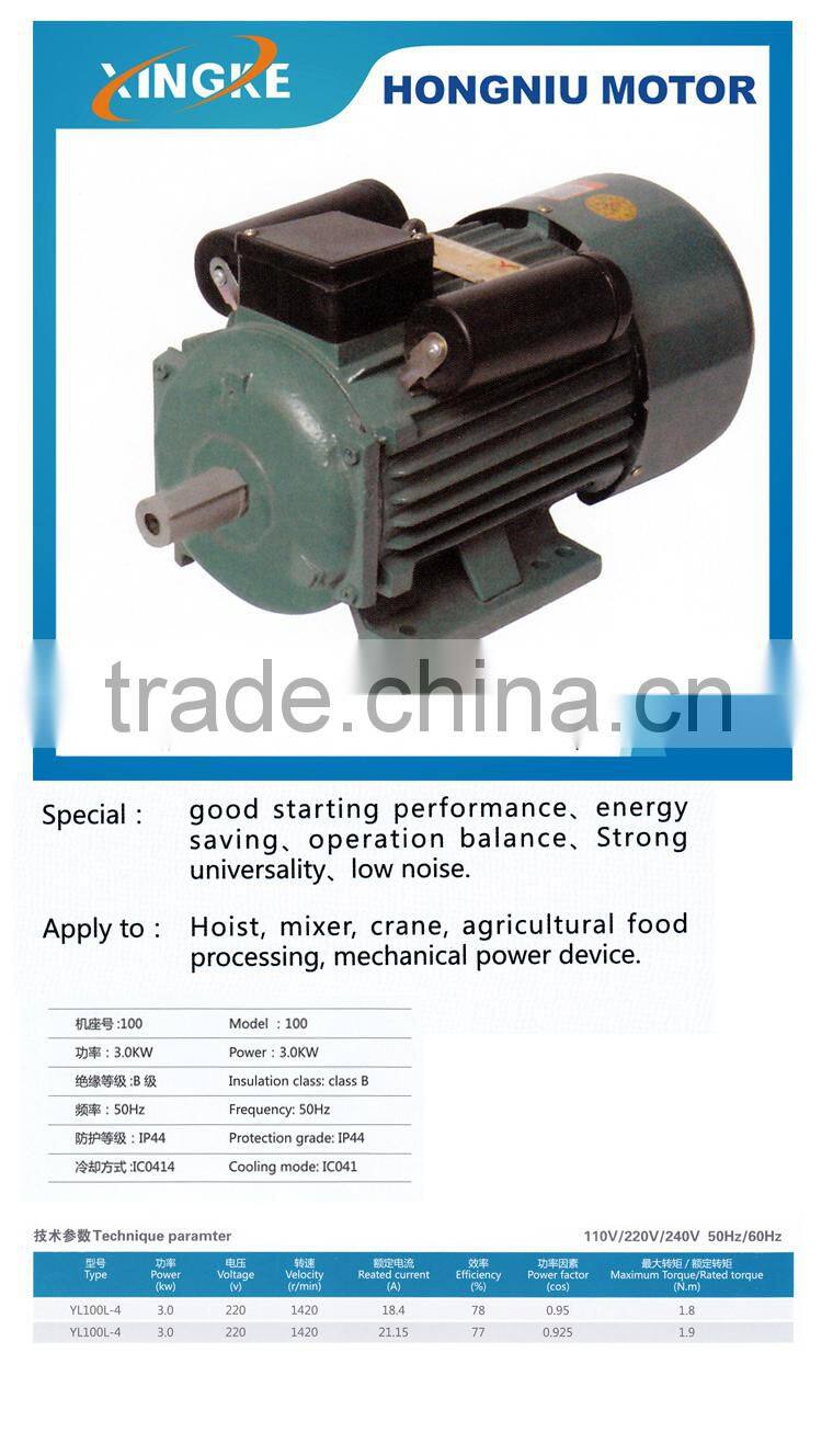 YL100L-4 double value capacitor asynchronous motor