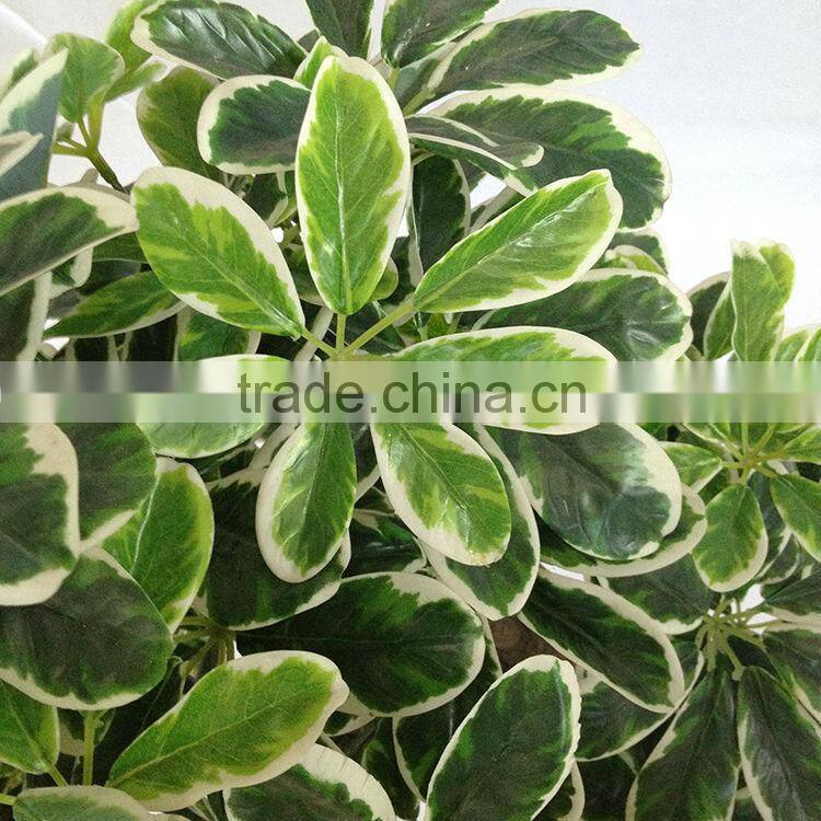 plastic bonsai green leaves tree