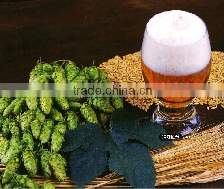 beer brewing equipment for micro brewery 100L, 200L, 300L 500L, 1000L per batch