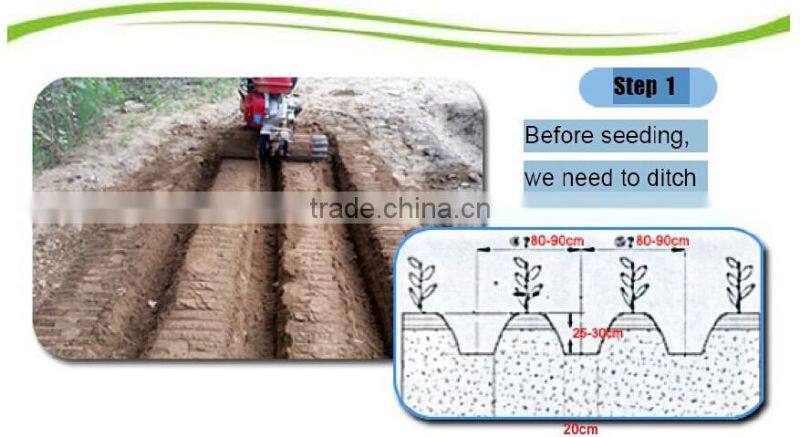 Cultivator Vegetable Garden Working
