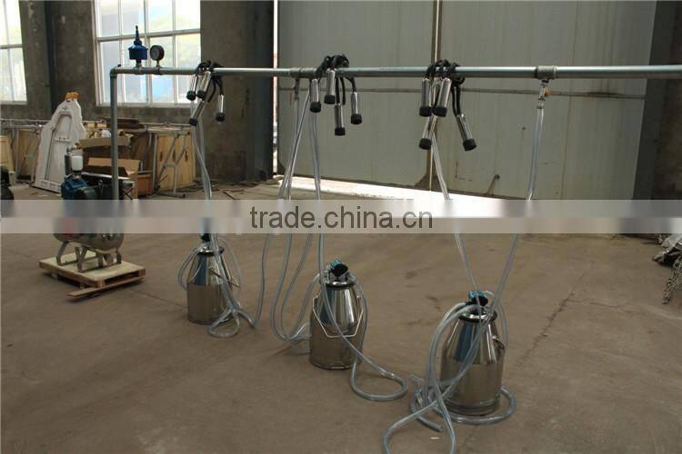 5 Milking Clusters Milking Machine For Sale With 550L Vacuum Pump