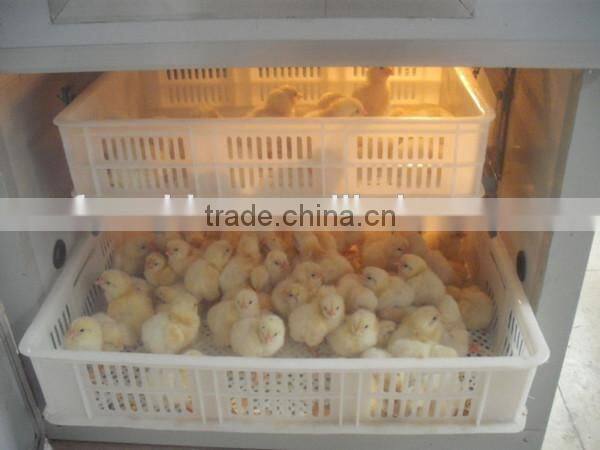 CE approved quail egg hatching machine/egg hatching machine