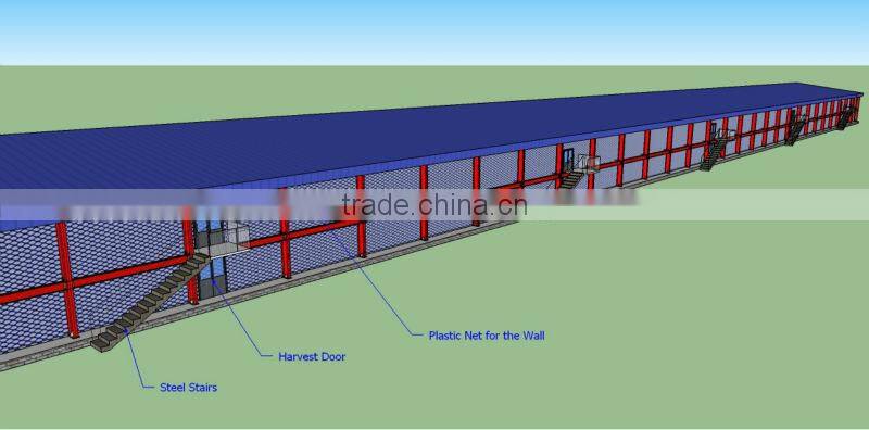 Prefabricated Poultry house in philippines