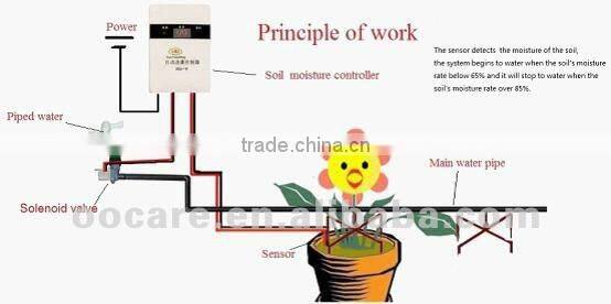 soil moisture sensor testing and Smart automatic garden irrigate