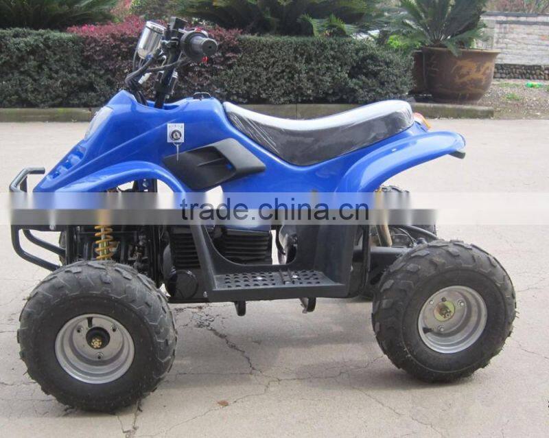 800W Electric ATV (TKE-A500-D)