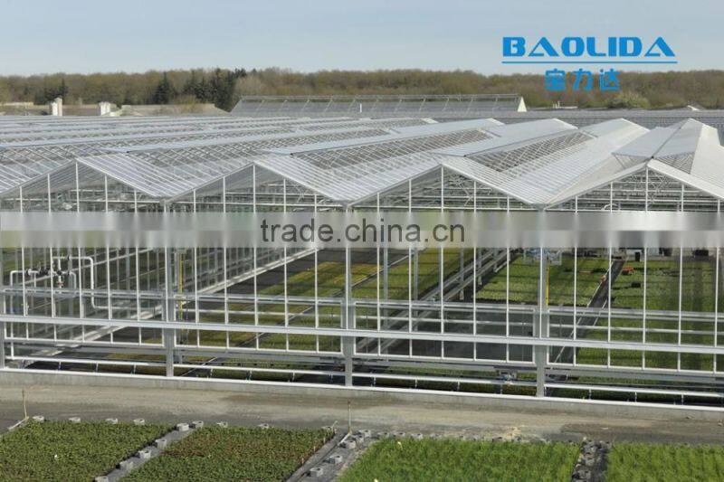 zigzag polycarbonate PC sheet greenhouse for fishing and vegetables