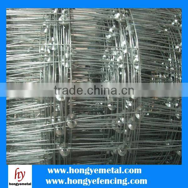 Woven Wire Fence/Goat Sheep Fence/Cattle Field Fence
