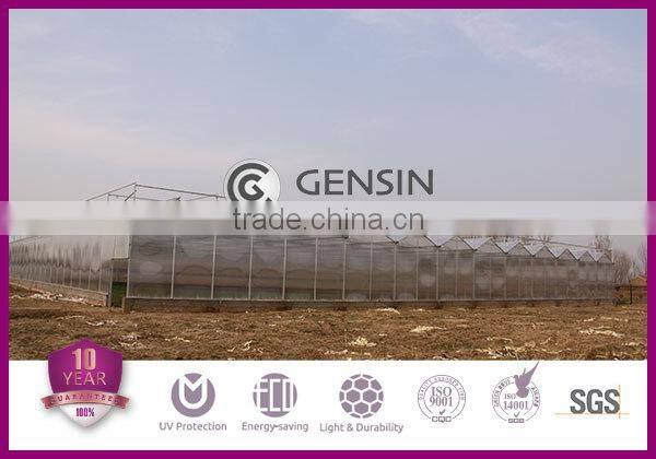 3mm 4mm 6mm 8mm 10mm 10 years warranty 2 Layers uv coat Polycarbonate Sheet /PC Sun Sheet /Plexglass Sheets