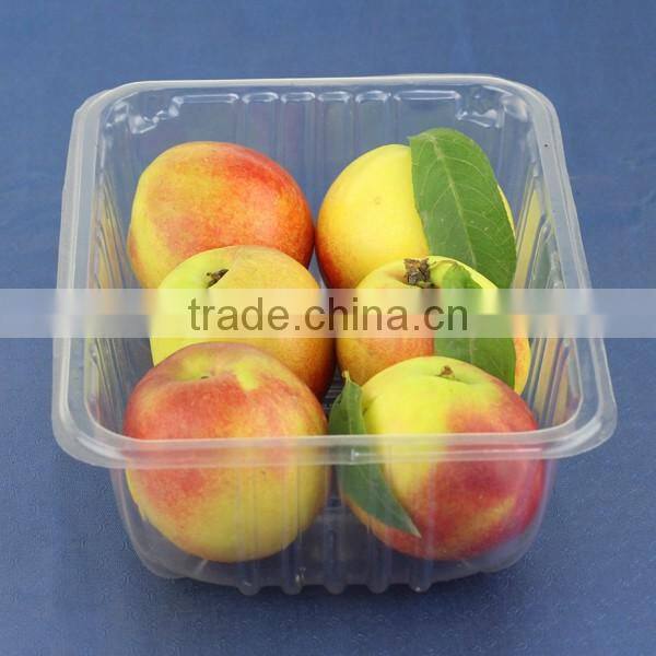 clamshell blister plastic box for fruit vegetable container