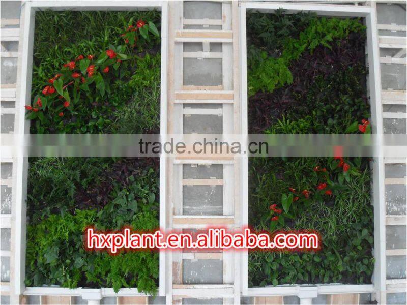 Chinese artificial plants factory,wholesale fake plant