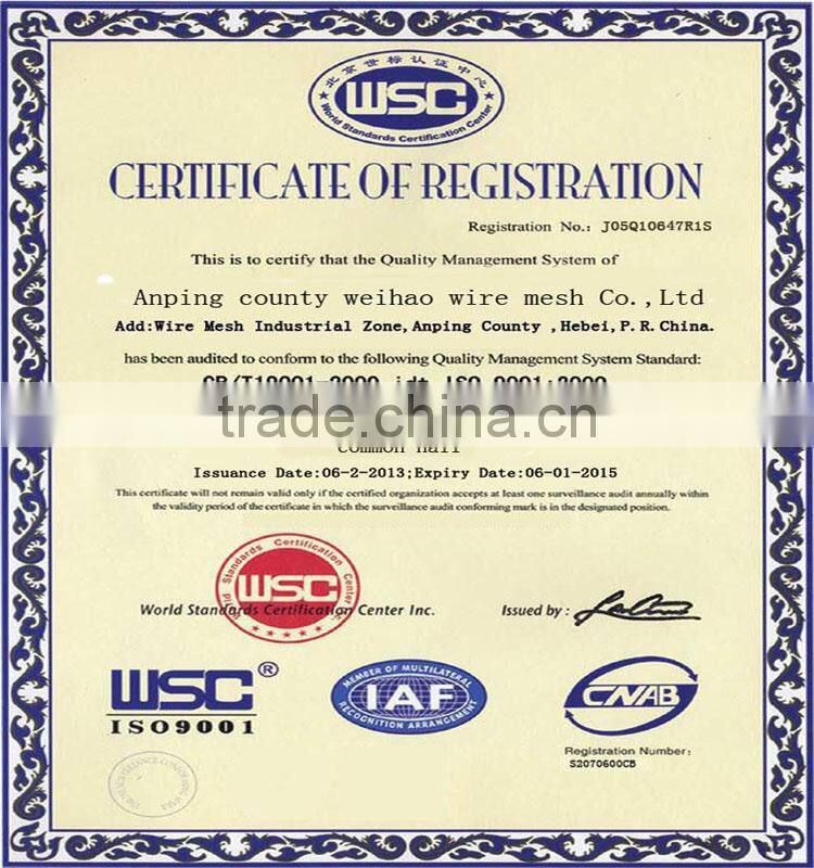 all kinds of size Common Nail supplier in China