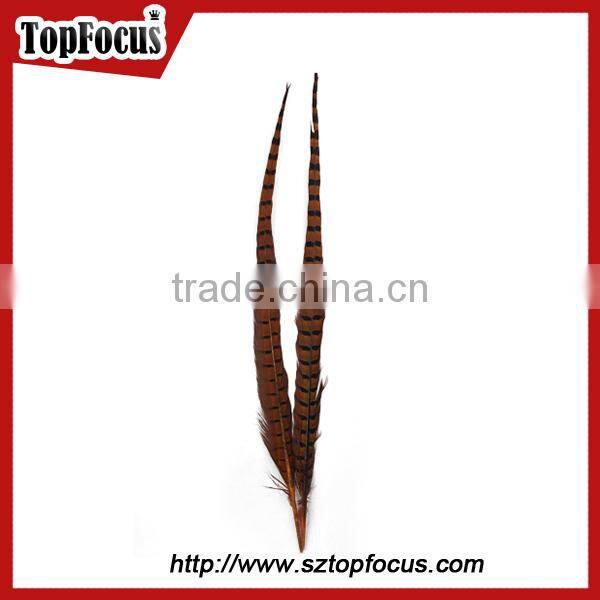 High Quality for Showgirl Carnival Costume ringneck Tail Pheasant Feathers