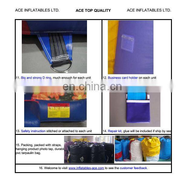 Hot Sales Slideway Frozen Theme commercial jumping castle