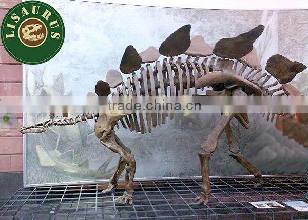 JLDF-1313 Professional supplier 3m long stegosaurus dinosaur fossils for sale