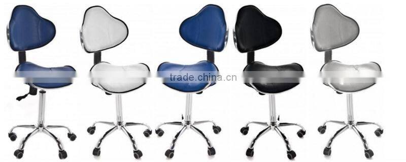 Elegant salon master chair with hand control