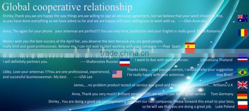 Windscreen DTV/TV digital car antenna