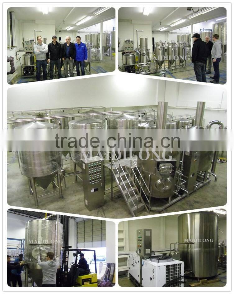 Hot sale small mini brewing equipment home for party