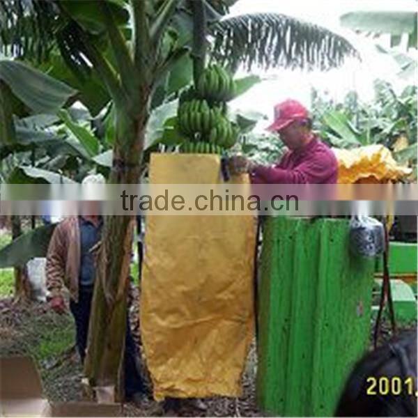 Banana protection bags/growing bags for fruit