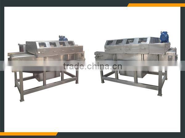 Leader stainless steel litchi fruit process line with CE & ISO