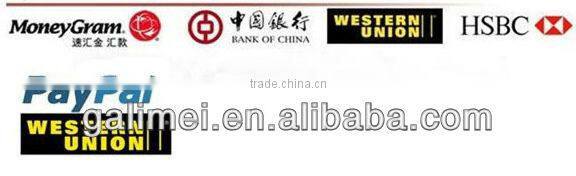 Factory selling! high quality 540 titanium micro needle machine best for hair loss treatment/dns skin care derma roller