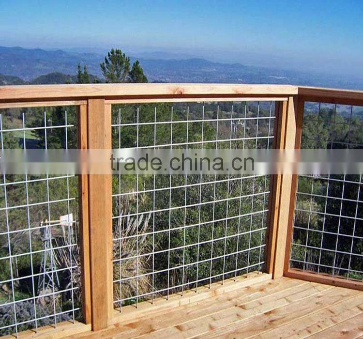 Hebei High Quality 2x2 galvanized welded wire mesh