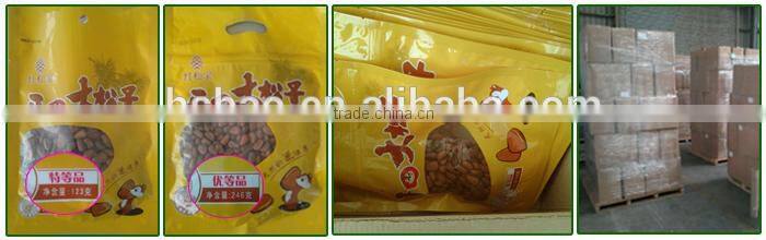 Bulk Opener Dead Sea Salt Open Pine Nuts in Shell