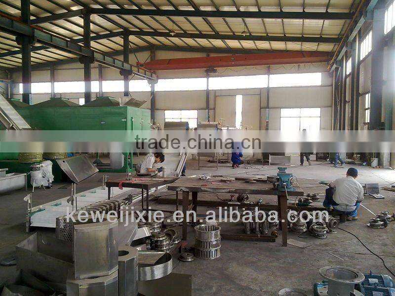 DJ1 single-channel fruit pulping machine of pome fruits and berries