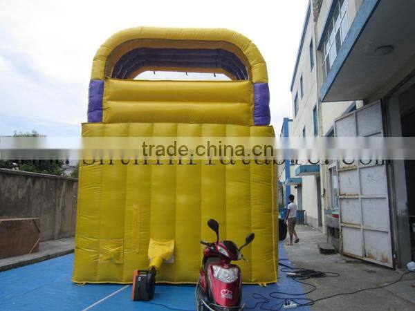 cheap new style inflatable slide/ inflatable hippo with pool