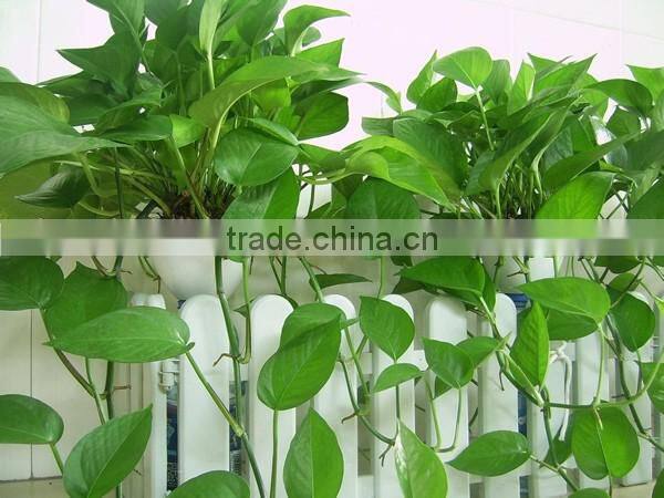 Shop/Home /Office Decor Small Artificial Plant Scindapsus Araceae