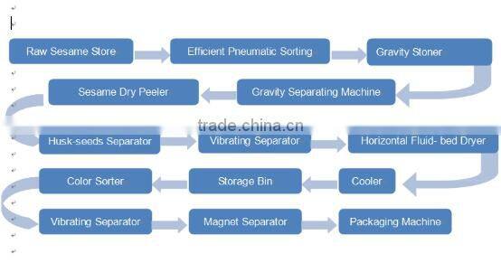 Professional New Designed Dry Way Hulled Gingeli Processing Plant