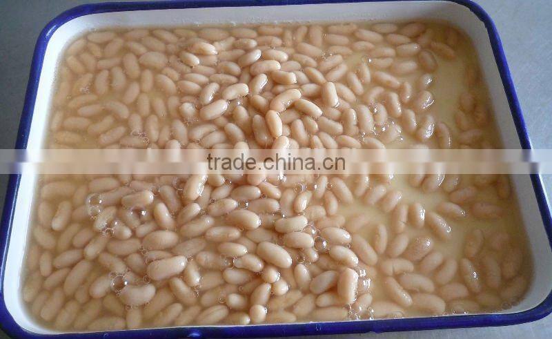 canned white kidney beans in brine with best price